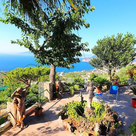La Rosa Del Sud - De Vivo Realty Sorrento Apartment Exterior photo