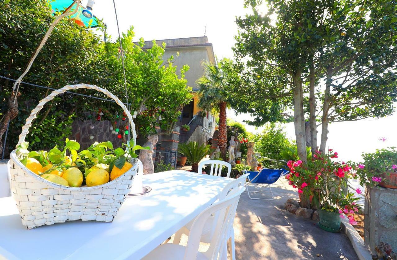 La Rosa Del Sud - De Vivo Realty Sorrento Apartment Exterior photo